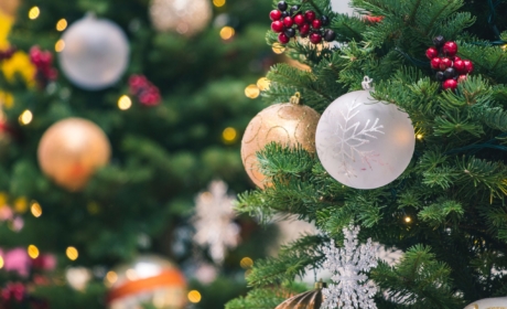 Christmas Opening Hours of Campus and Services at VŠE